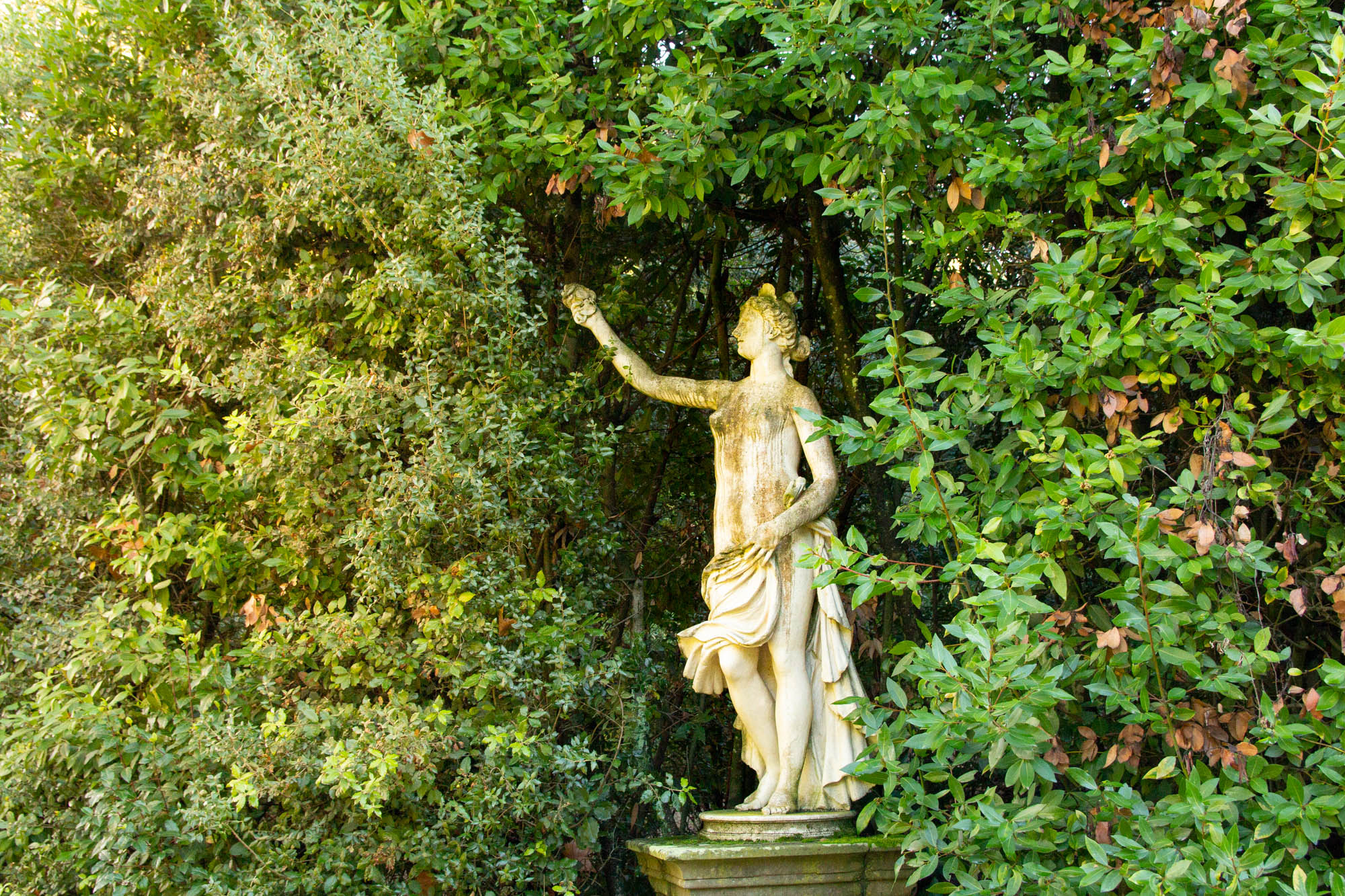 Enchanting Boboli Gardens of Florence